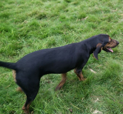 undefined{{pos:,w:,h:}}