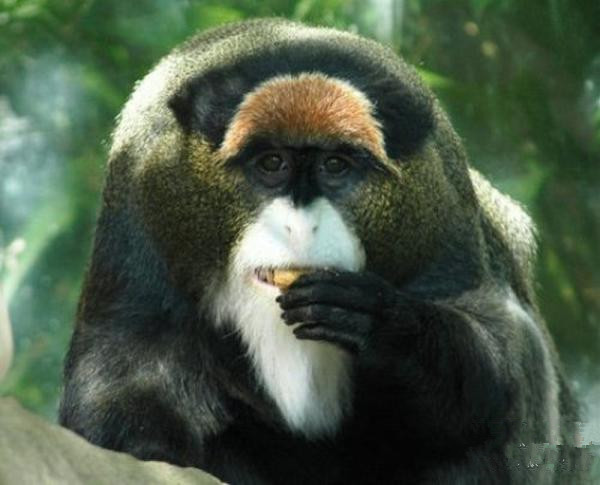 undefined{{pos:,w:,h:}}