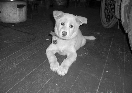 undefined{{pos:,w:,h:}}