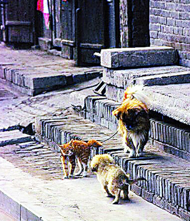 undefined{{pos:,w:,h:}}