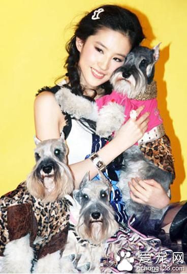 男孩与鳐鱼成好友 明星宠物大曝光孙俪收养7只流浪狗