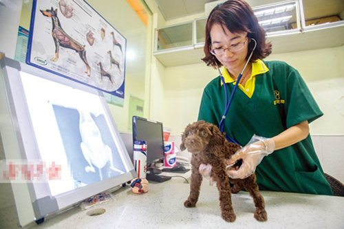 undefined{{pos:,w:,h:}}