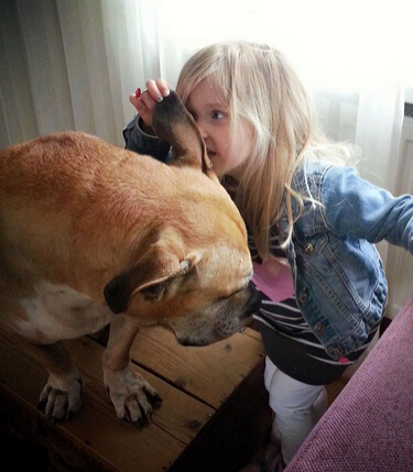 父亲拍下女儿与狗狗亲密瞬间照片 网友：好暖心