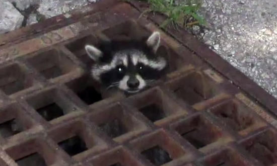 undefined{{pos:,w:,h:}}