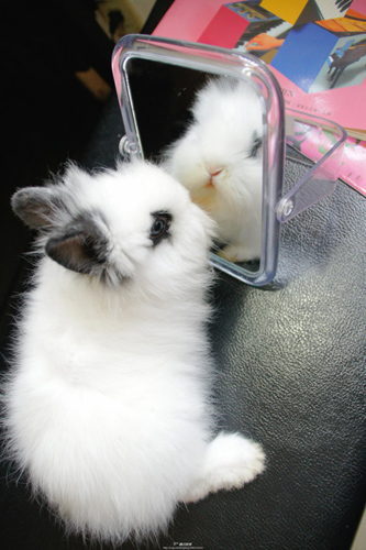 镜子里的自己好萌啊，我都好喜欢我自己