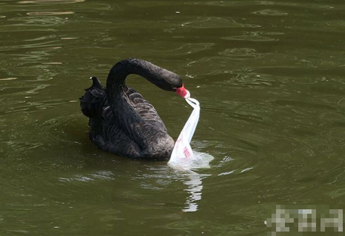 undefined{{pos:,w:,h:}}