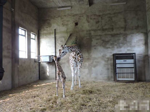 undefined{{pos:,w:,h:}}