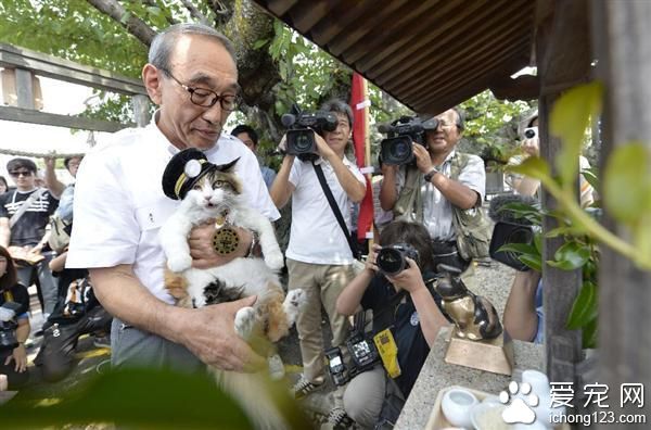 日本猫站长“小玉”病逝 “二玉”继任