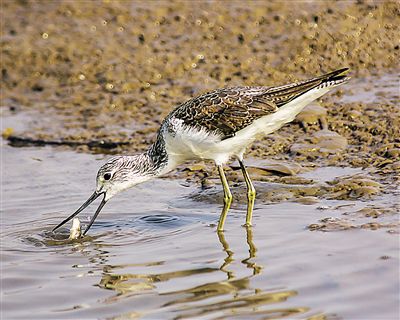 undefined{{pos:,w:,h:}}