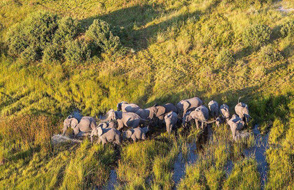 undefined{{pos:,w:,h:}}