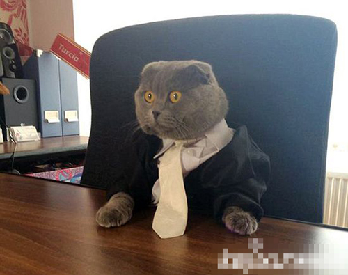 undefined{{pos:,w:,h:}}