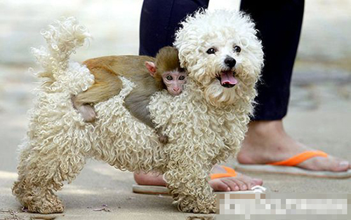 undefined{{pos:,w:,h:}}