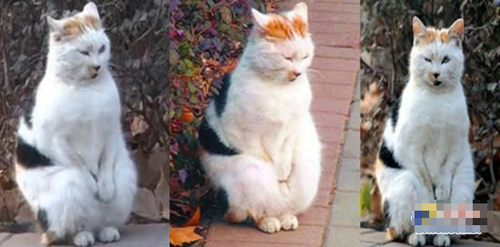 undefined{{pos:,w:,h:}}