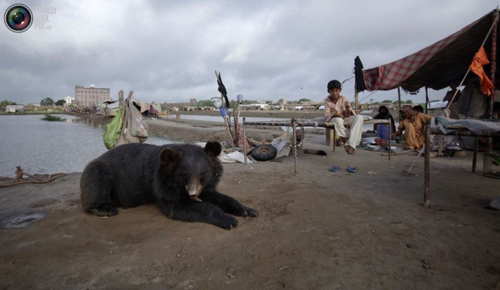 undefined{{pos:,w:,h:}}