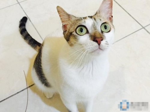 undefined{{pos:,w:,h:}}