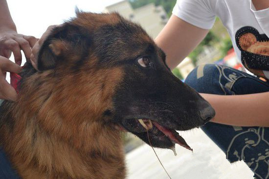 undefined{{pos:,w:,h:}}