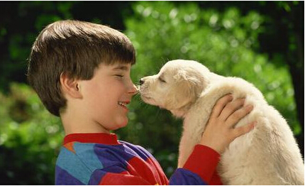 主人为相伴13年离世的狗狗写的诗 感动很多人