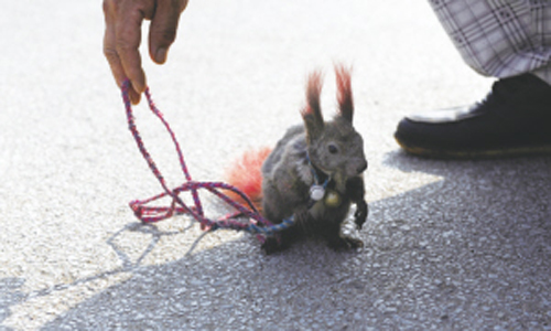 undefined{{pos:,w:,h:}}