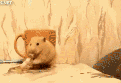 吃货就是吃货，大难临头还不忘吃