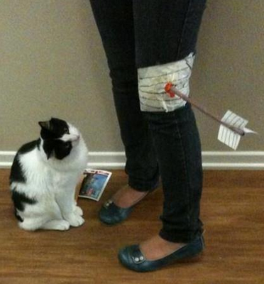 我的地球主人膝盖中了一箭