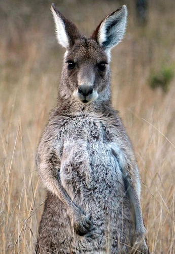 undefined{{pos:,w:,h:}}