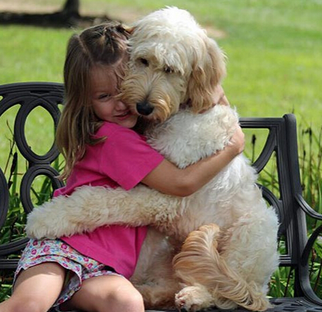 善良农场夫妇收养失明犬 并为其配置导盲犬