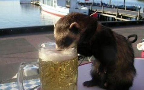 喝一杯啤酒，真是舒服啊