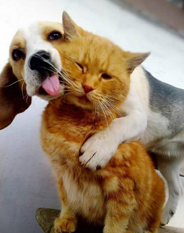 羡慕嫉妒恨吧，她最后还是从了我了