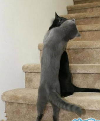 亲爱哒，你来了