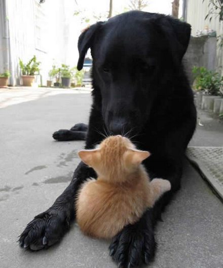 想我半年戎马，到头来生你这么个野种