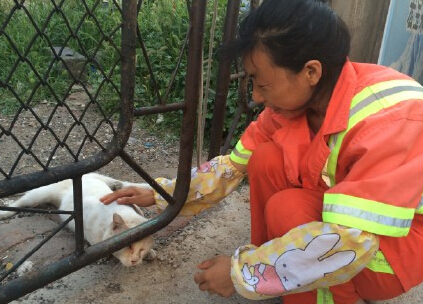 最萌环卫女工路边喂流浪猫 引网友疯转