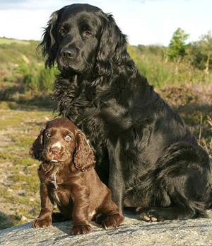 undefined{{pos:,w:,h:}}