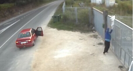 男子弃狗竟将狗抛过围墙 可怜狗狗险摔死