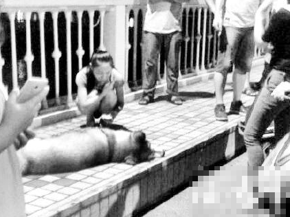 undefined{{pos:,w:,h:}}