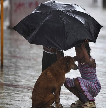 undefined{{pos:,w:,h:}}