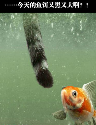 这么大，吞不下去怎么办？