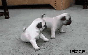 兄弟 哎呦 妈呀