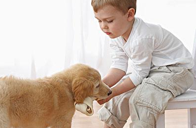 undefined{{pos:,w:,h:}}