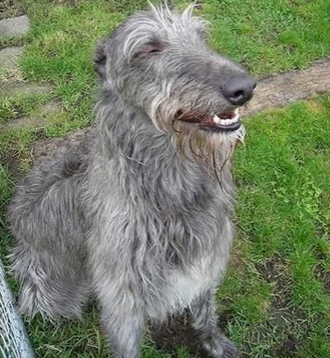 undefined{{pos:,w:,h:}}