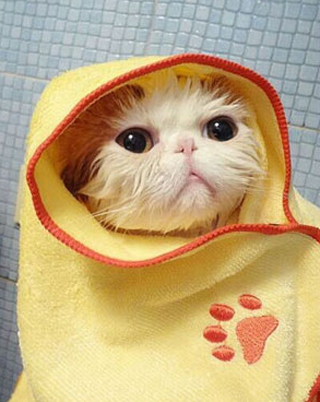 看我的装扮还行不