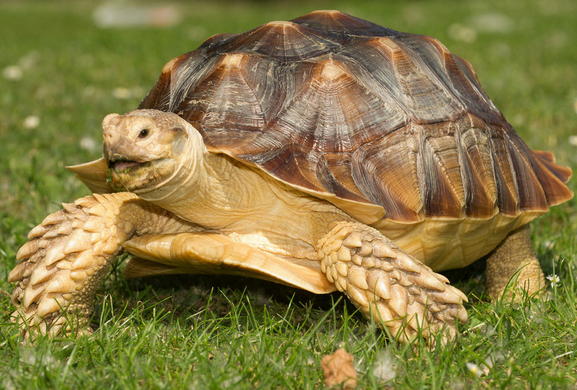 undefined{{pos:,w:,h:}}