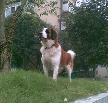 undefined{{pos:,w:,h:}}