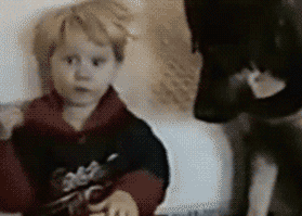 狗狗看准时机抢宝宝的面包