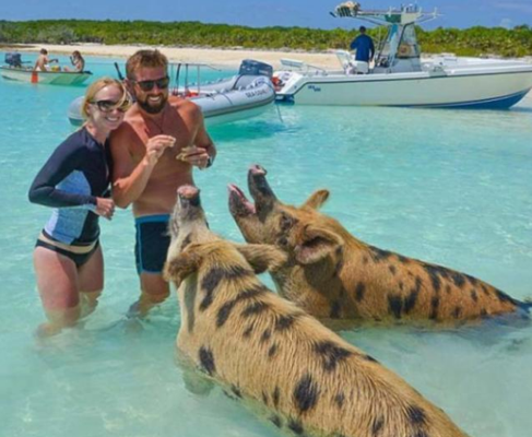 undefined{{pos:,w:,h:}}