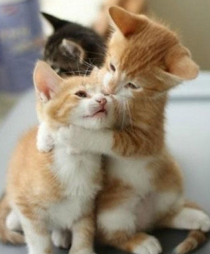 快说，你为啥子不爱我