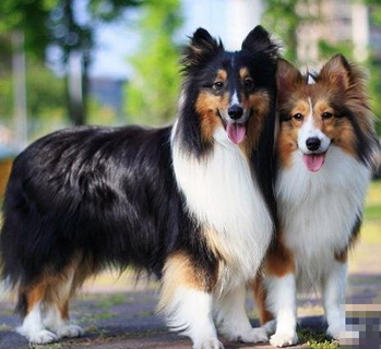 undefined{{pos:,w:,h:}}