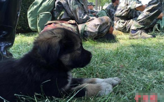 undefined{{pos:,w:,h:}}