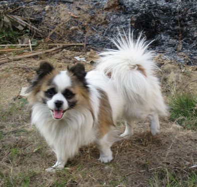 undefined{{pos:,w:,h:}}