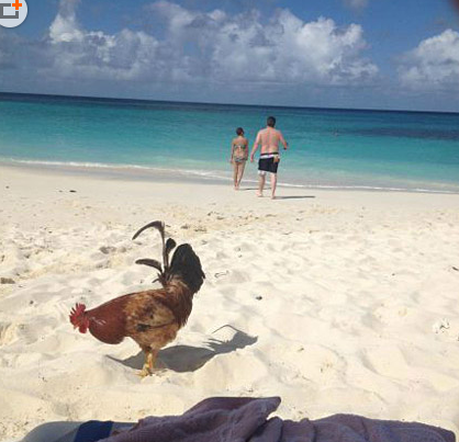 总感觉哪里怪怪的