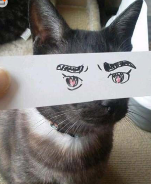 给猫咪画一双眼睛，毫无违和感